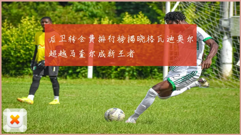 后卫转会费排行榜揭晓格瓦迪奥尔超越马奎尔成新王者