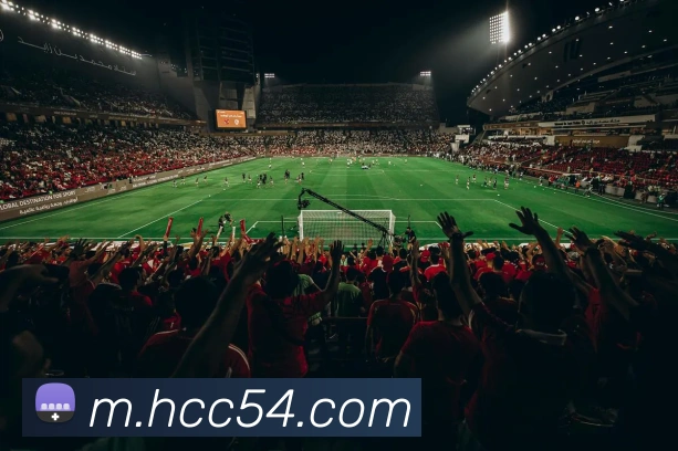 奖项证书